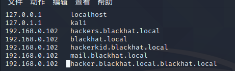 image-20240225153553863
